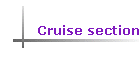 Cruise section